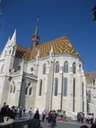 IMG_2480