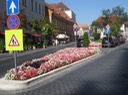 IMG_2489