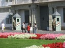 IMG_2500