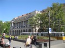 IMG_2504