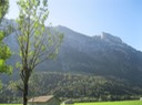 IMG_2663
