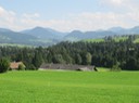 IMG_2675