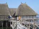 IMG_2710