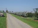 IMG_2714