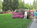 IMG_2752