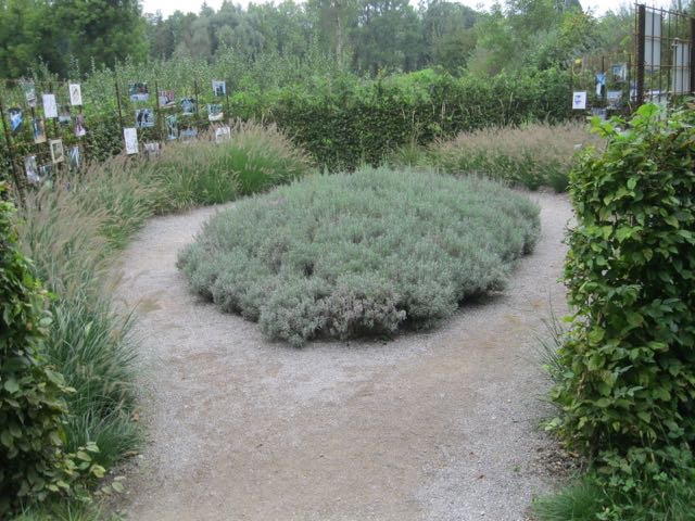 IMG_2795