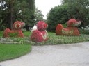 IMG_2799