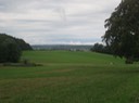 IMG_2818